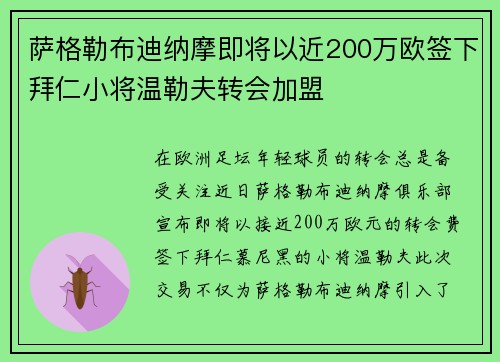 萨格勒布迪纳摩即将以近200万欧签下拜仁小将温勒夫转会加盟